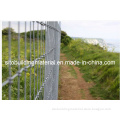 Grassland Fence/Field Fence/Cattle Fence/Farm Fence/Fence Netting